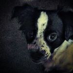 Hunter Petty - @petty.hunter - Instagram