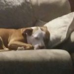 hunter raines - @hunterraines88 - Instagram