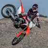 Hunterreed477 - @hunterreed9867 - TikTok