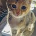 Hunter Rice - Facebook