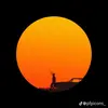 Hunter Roof - @t.roof_photographs - TikTok