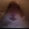 Hunter Rupert388 - @fazehamster0691 - TikTok