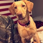 Hunter Rushton - Facebook