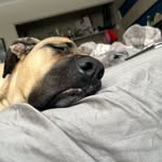 Hunter - @hunterrutherfordd - Instagram
