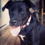 Hunter Sargent - @hunterthesargent - Instagram
