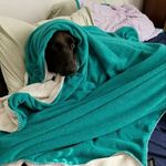 Hunter Sargent - @sneak_biscuit - Instagram