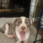 Hunter Sikes - Facebook