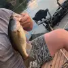 huntersikes321 - @huntersikes321 - TikTok