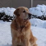 Hunter Simms - @whsimms - Instagram