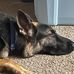 Hunter Sims - Facebook
