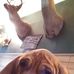 Hunter Sims - Facebook