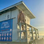 Hunter Sims - @hunter_sims_ - Instagram