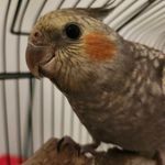 Hunter Slack - @hunter.slack09 - Instagram