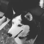 Hunter Spaulding - @spauldinghunter - Instagram