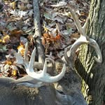 hunterspaulding - @get_huntin - Instagram