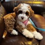 Jacque Hunter Clark-Spaulding - @nanamoma2 - Instagram