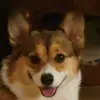 Hunter Stacy - @hunter.stacy02 - TikTok