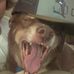 Hunter Staton - Facebook
