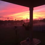 Hunter Stauffer - @hunterstauffer2017 - Instagram