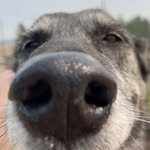 Hunter Stein - @hunter_stein20 - Instagram