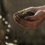 Hunter Steiner - @branchesinthyme - Instagram