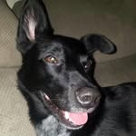 Hunter Stockton, Esq. - @hunterstocktonesq - Instagram
