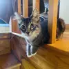hunter_stone_ - @hunter_stone_ - TikTok