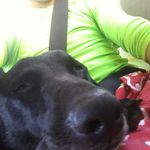 hunter stutzman - @11stutzmanhunter - Instagram