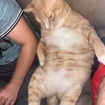 Hunter Stutzman - @28stutzhunter - Instagram