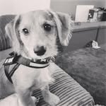 Hunter  talbot - @hunter_floppy - Instagram