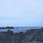 Hunter - @hunter_____talbot.r28n - Instagram