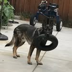 Hunter Talbot - @hunter_da_bigboi - Instagram