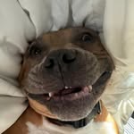 Hunter Thibodeaux - @thibkid - Instagram