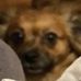 Hunter Thorne - Facebook