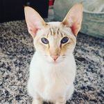 Hunter Thornton - @official_baby_face - Instagram