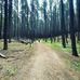 Hunter Thorson - Facebook