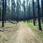 Hunter Thorson - @hunterthorson_ - Instagram