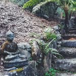 By Hunter Tompkins - @atranquilspace_landscaping - Instagram