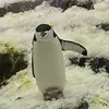 Hunter_Lopinskii - @hunter.b.h - TikTok