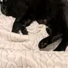 Hunter Towers - @hunter.towers - TikTok