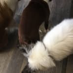 Hunter Tribble - Facebook