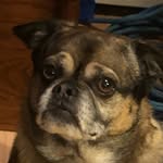 Huntertrueman24 - @huntertrueman24 - Instagram