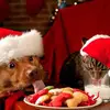 么★🎄 ĤƱИŦƐŔS 🎄★么 - @hunters_wuulf - TikTok