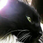 Hunter - @hunterulferts - Instagram