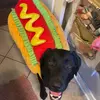 hunter_vandee - @hunter_vandee6 - TikTok