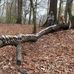 Hunter Vogel - Facebook