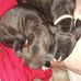 Hunter Wagner - Facebook
