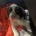 Hunter Waite - Facebook