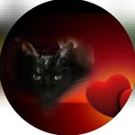 Cindy Hunter  Wallen - @biketalk.1 - Instagram