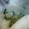 Moritz_cindy15 - @wasserhunter - TikTok